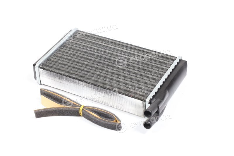 Van Wezel 58006061