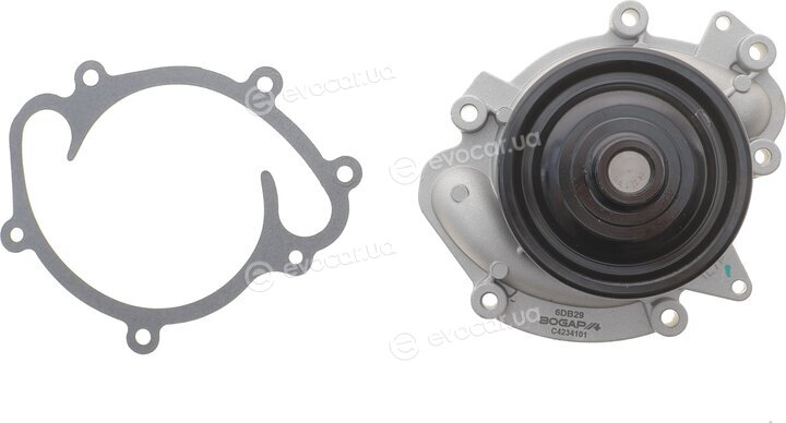 Bogap C4234101