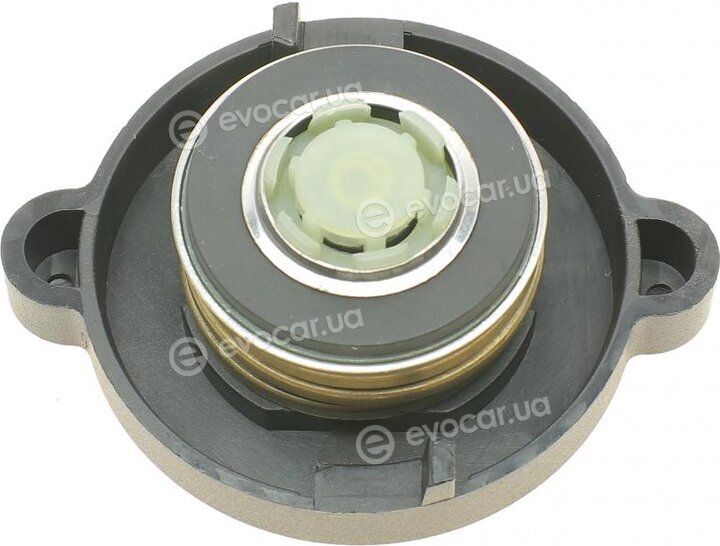 AIC 55596