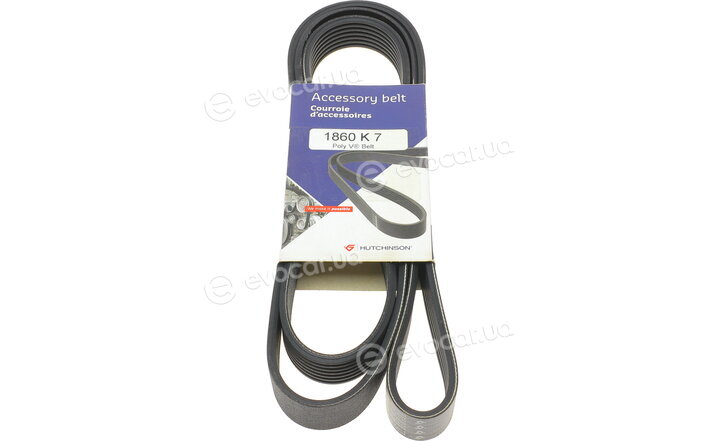 Hutchinson 1860 K 7