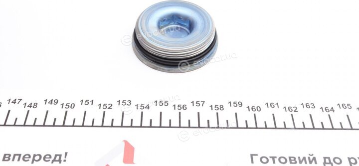 BorgWarner DS120456