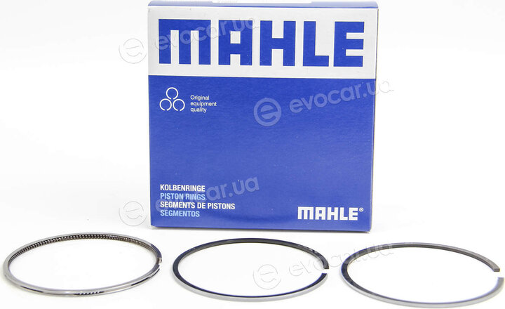 Mahle 030 20 N0