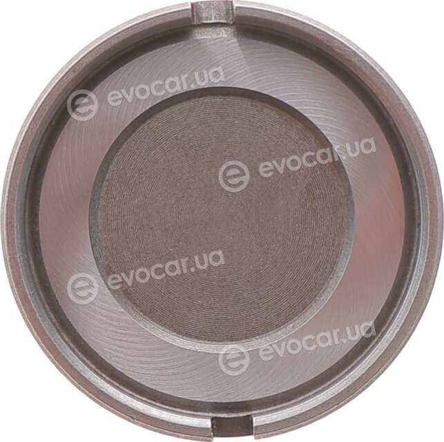 Motive CF88