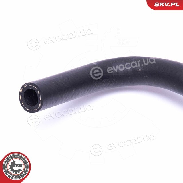 SKV 10SKV819