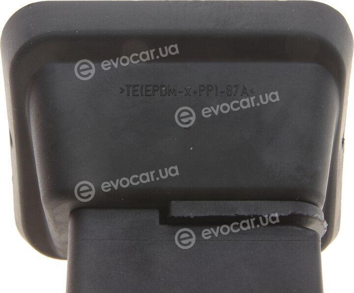 FTE 1200124