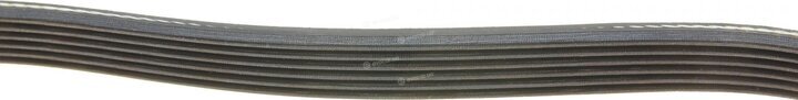 Dayco 6PK885