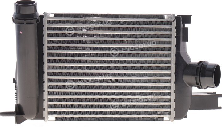 Renault / Nissan 144967634R