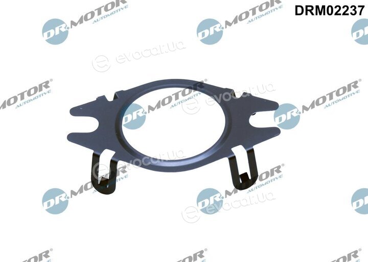 Dr. Motor DRM02237