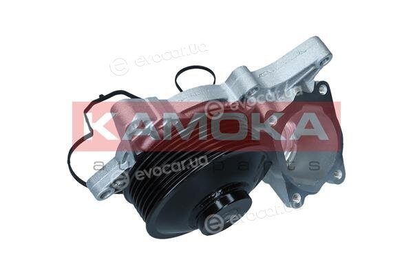 Kamoka T0298