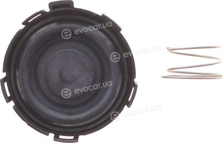 Solgy 124055