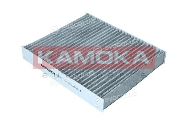 Kamoka F511301