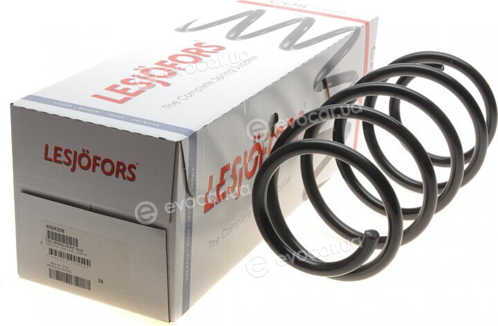 Lesjofors 4004208