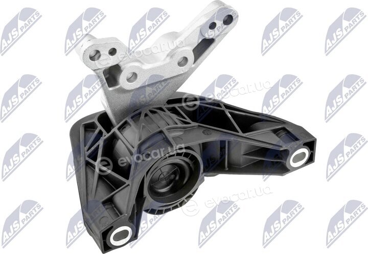 NTY ZPS-PL-081