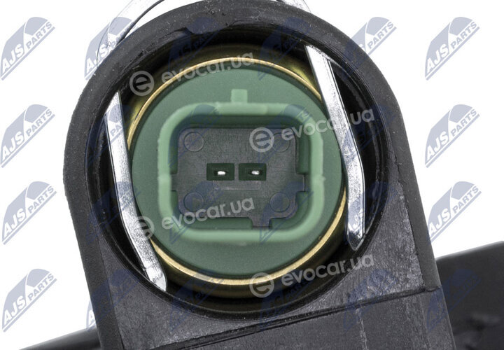 NTY CTM-PE-000