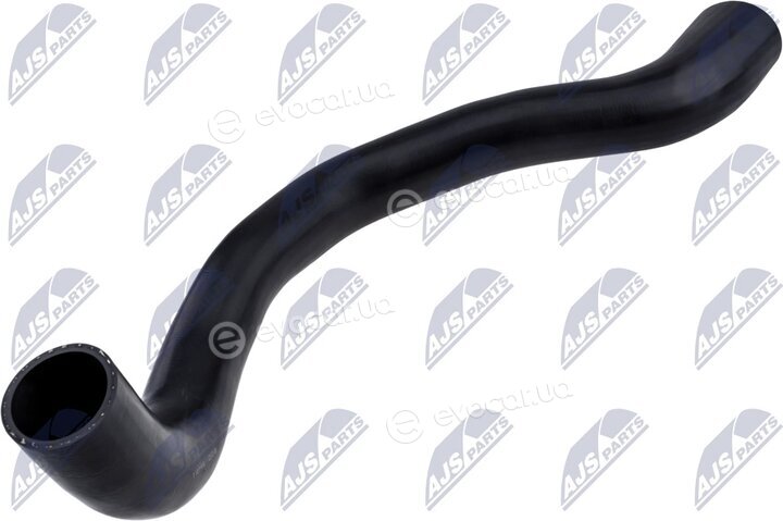 NTY GPP-MS-006