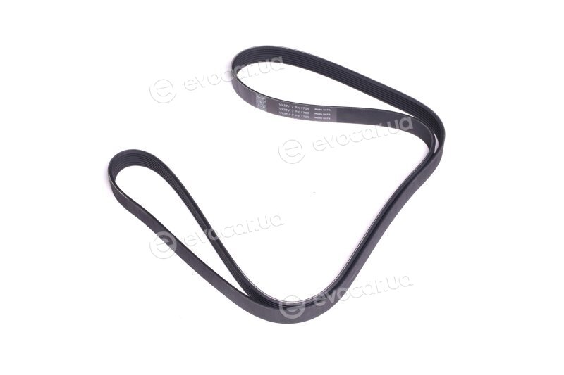 SKF VKMV 7PK1705