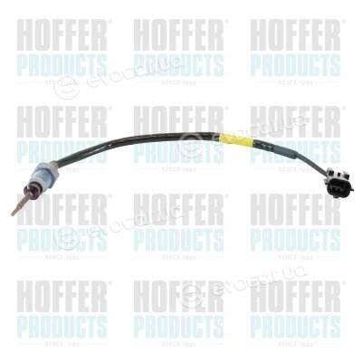 Hoffer 7452182