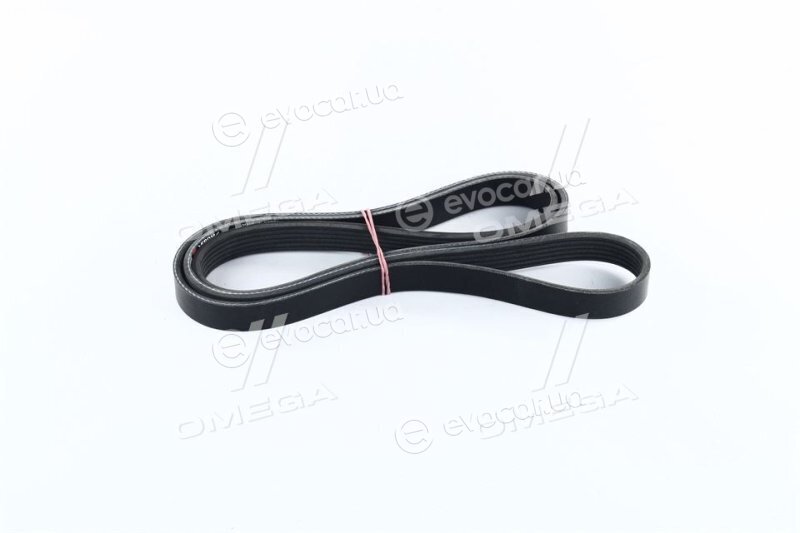 Dongil 6PK1705