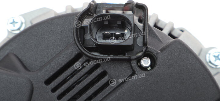 Solgy 408020