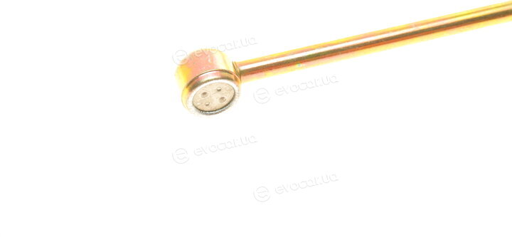 Solgy 123007
