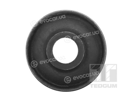 Tedgum 00346146