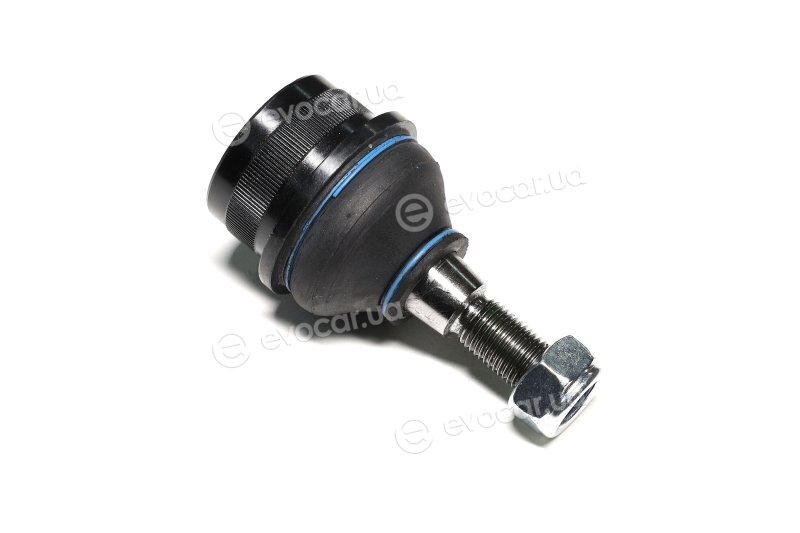 Sasic 4005279