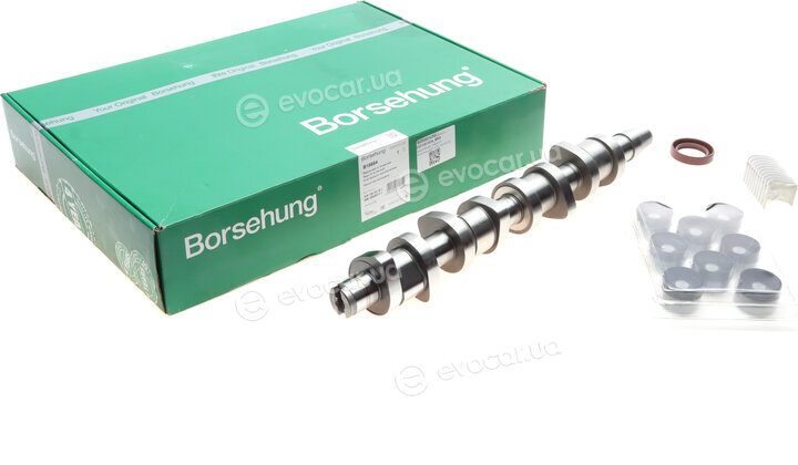 Borsehung B18664