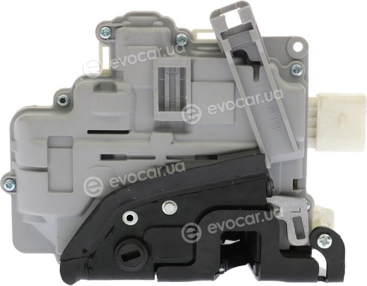 AIC 55963