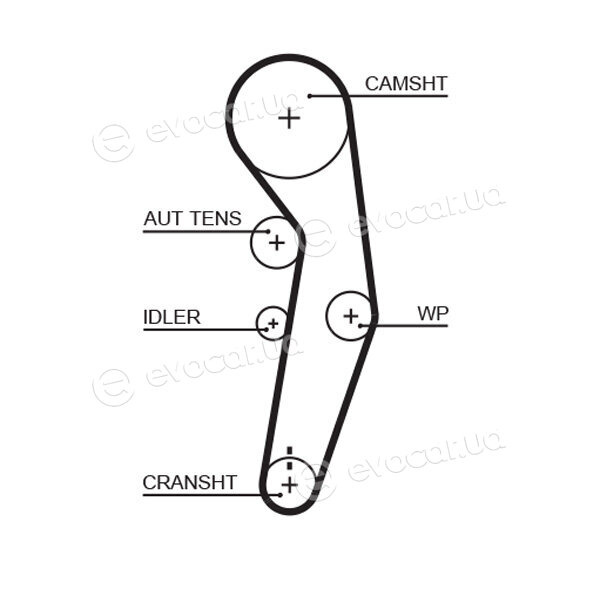 Gates K025601XS