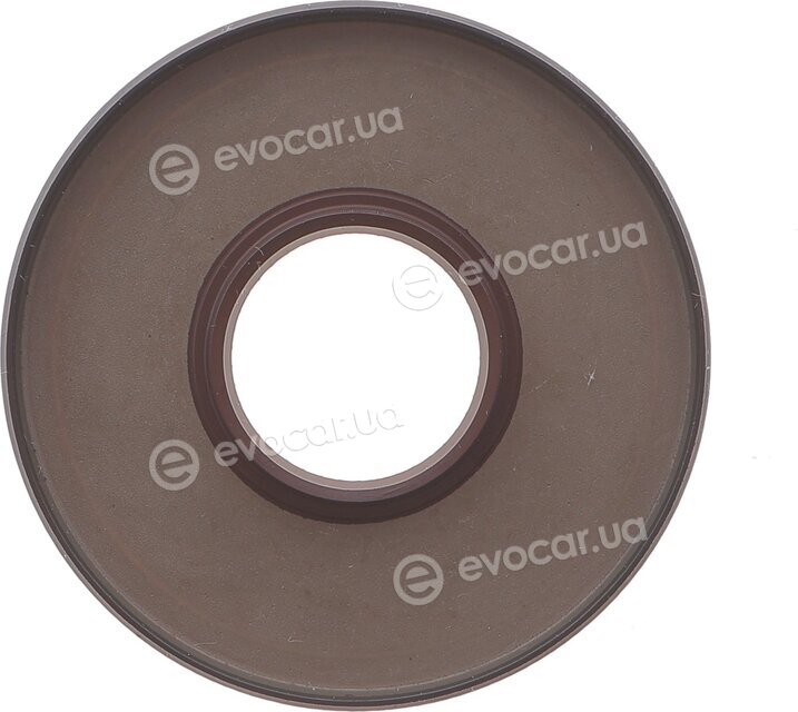 Elring B10.810