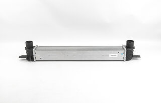 Goodrem RH0218