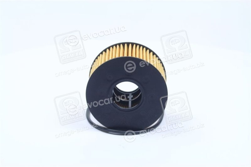 Mahle OX 191D