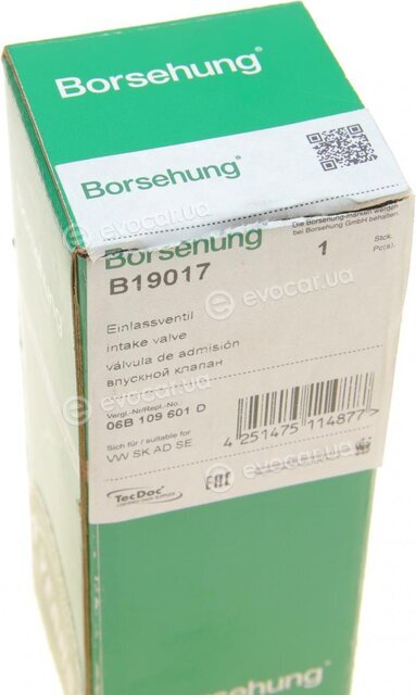 Borsehung B19017