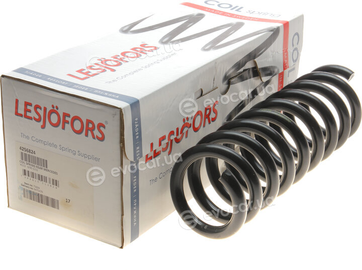 Lesjofors 4256824