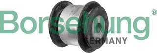 Borsehung B13185