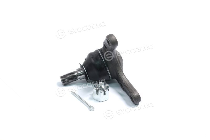 Blue Print ADM58613