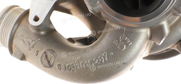 BorgWarner 53039880621