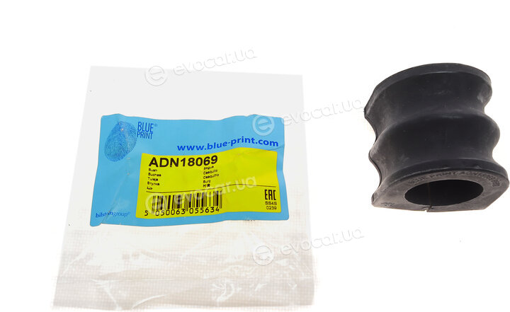 Blue Print ADN18069
