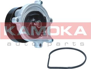Kamoka T0299