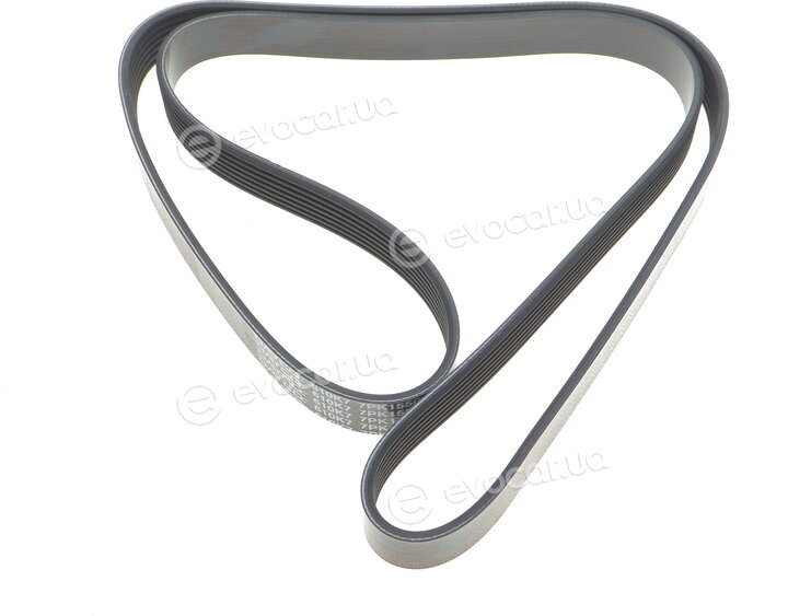 Dayco 7PK1550
