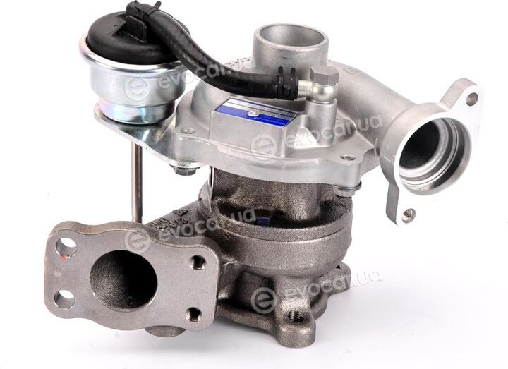 BorgWarner 54359880009