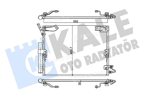Kale 342640