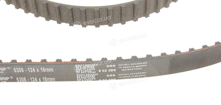 Gates K025308