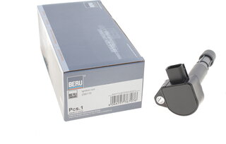 Beru ZSE170