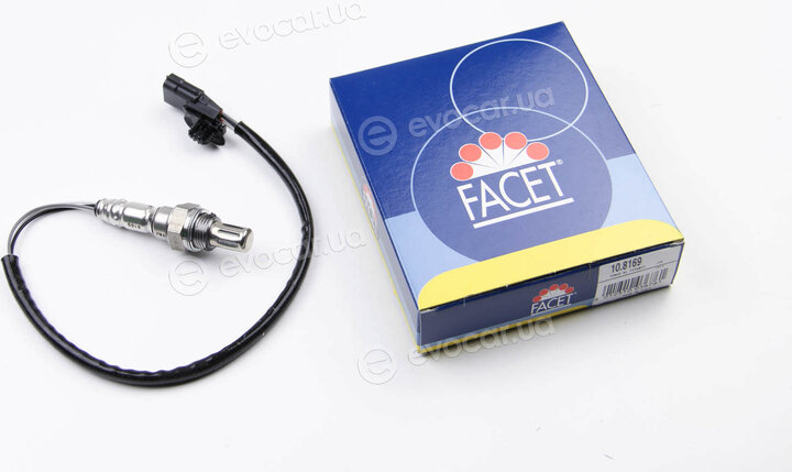 Facet 10.8169