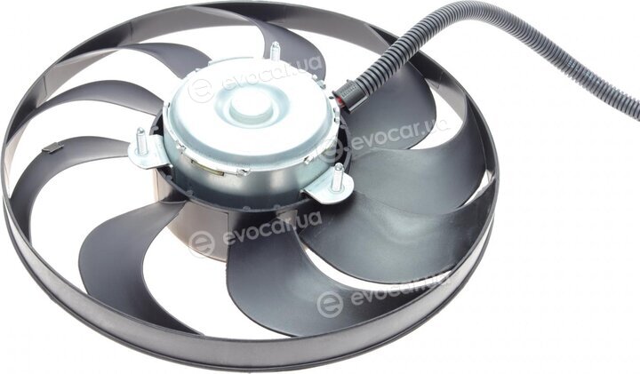 AIC 50843