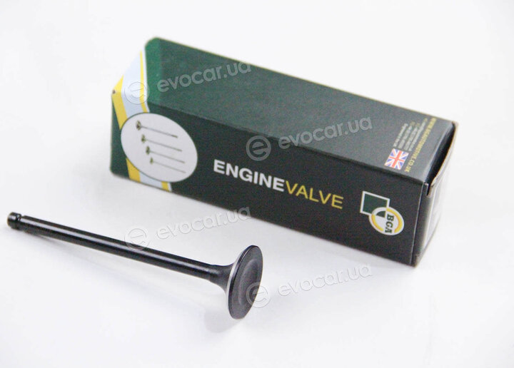 BGA V003438