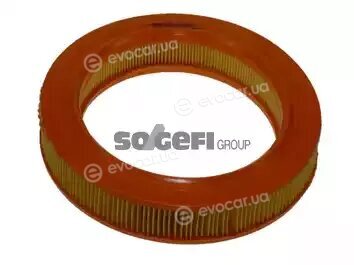 Coopers Fiaam FL6397