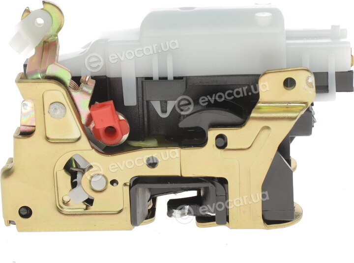 Solgy 305038