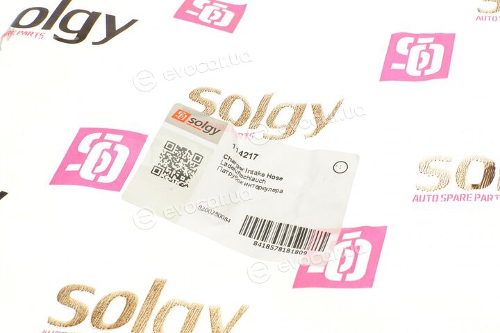 Solgy 114217